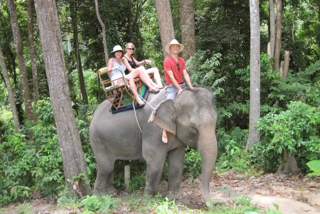 bangkok elephant tour