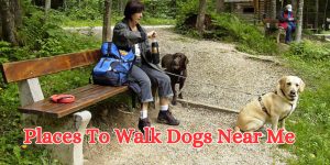 places to walk dogs near me