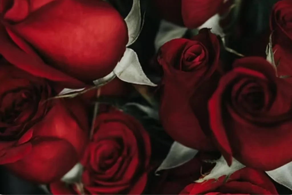 How does Red Rose UAE help with Dynatrade bookings