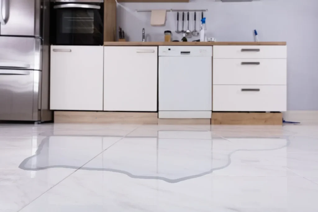 Why Dishwashers Overflow with Water
