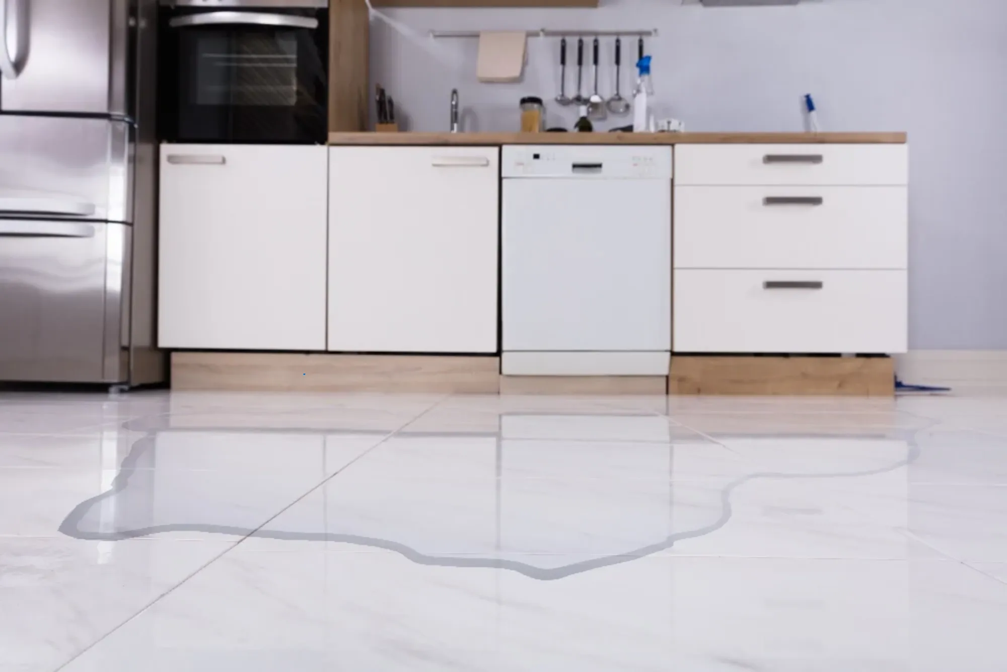 Why Dishwashers Overflow with Water