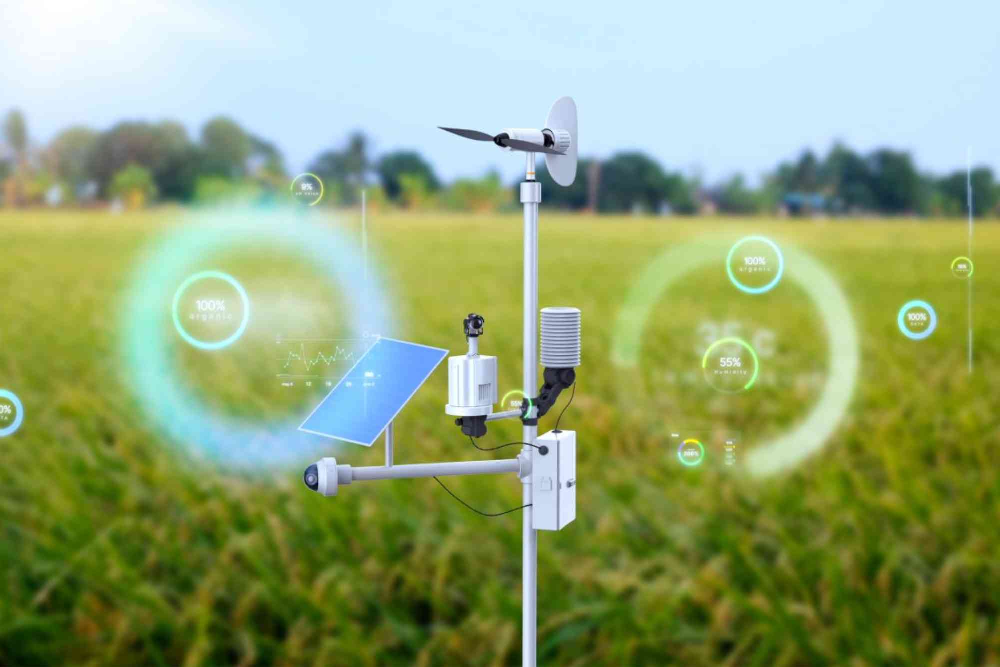 UNESCO Lanes With All-Weather Browsing