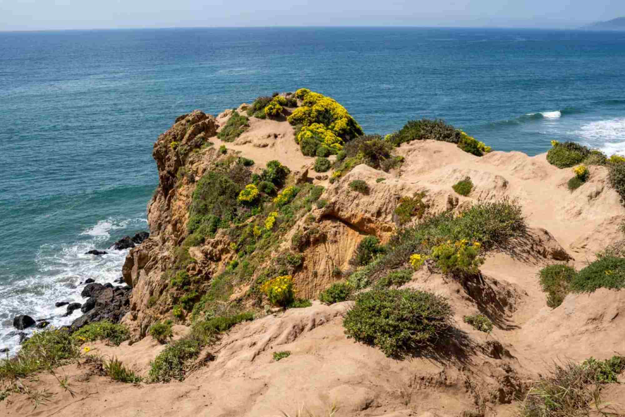 Trail Guide — Hiking Near Los Angeles: Routes, Distance & Tips
