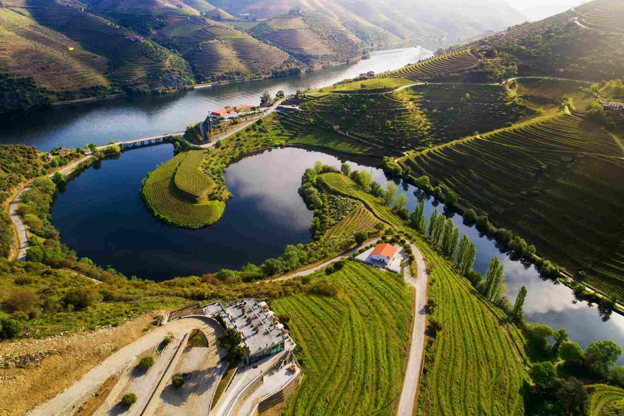 What to do in Porto and the Douro Valley? A Family Travel Guide