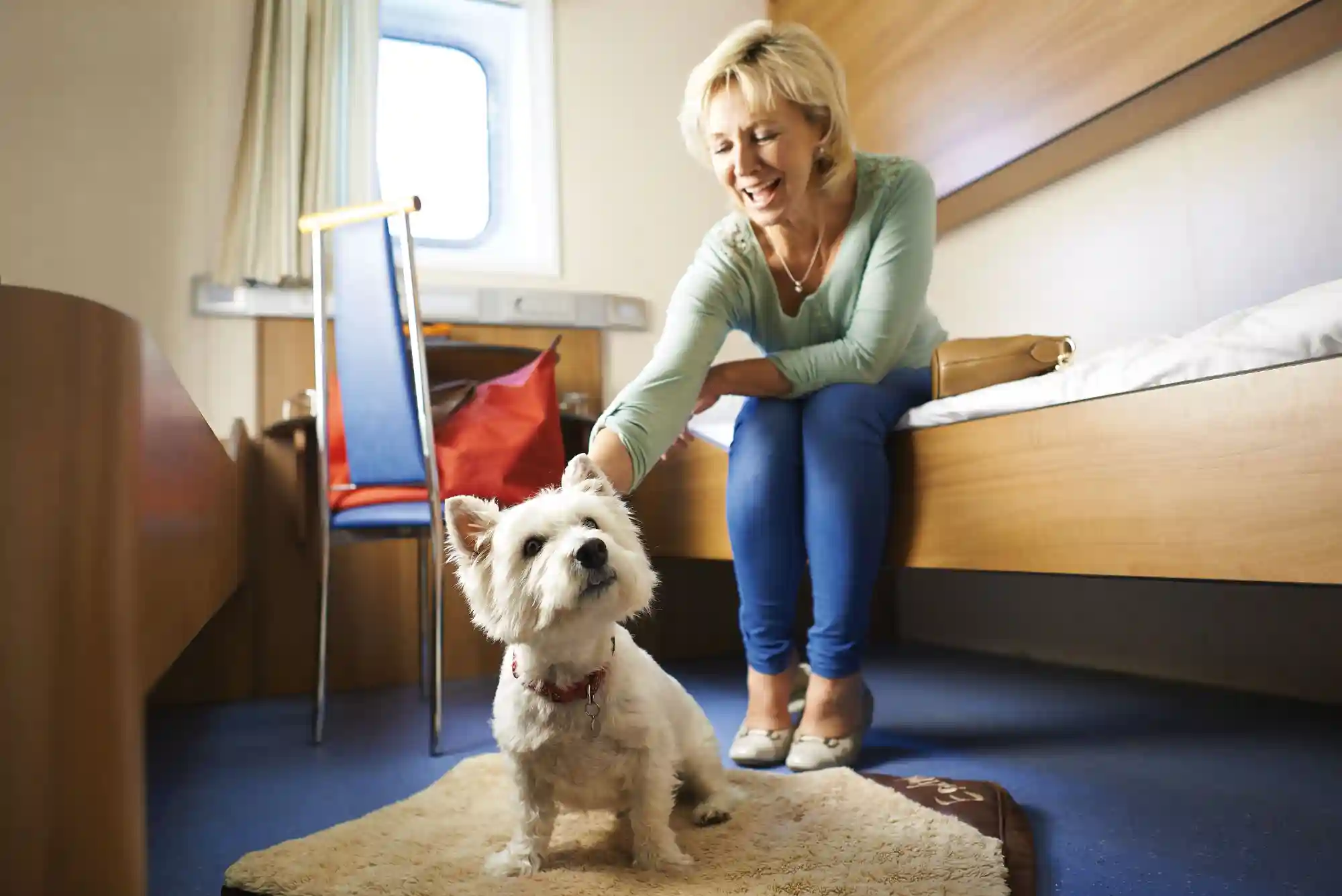 Pet-Friendly Train Travel: Amtrak, Eurostar, and UK Rail Policies Explained